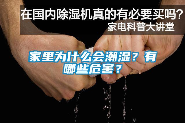 家里為什么會潮濕？有哪些危害？