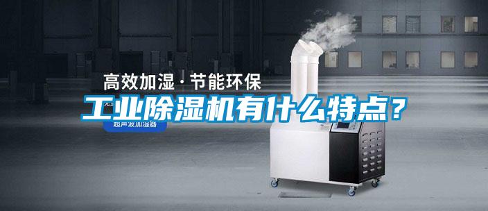 工業(yè)除濕機(jī)有什么特點(diǎn)？