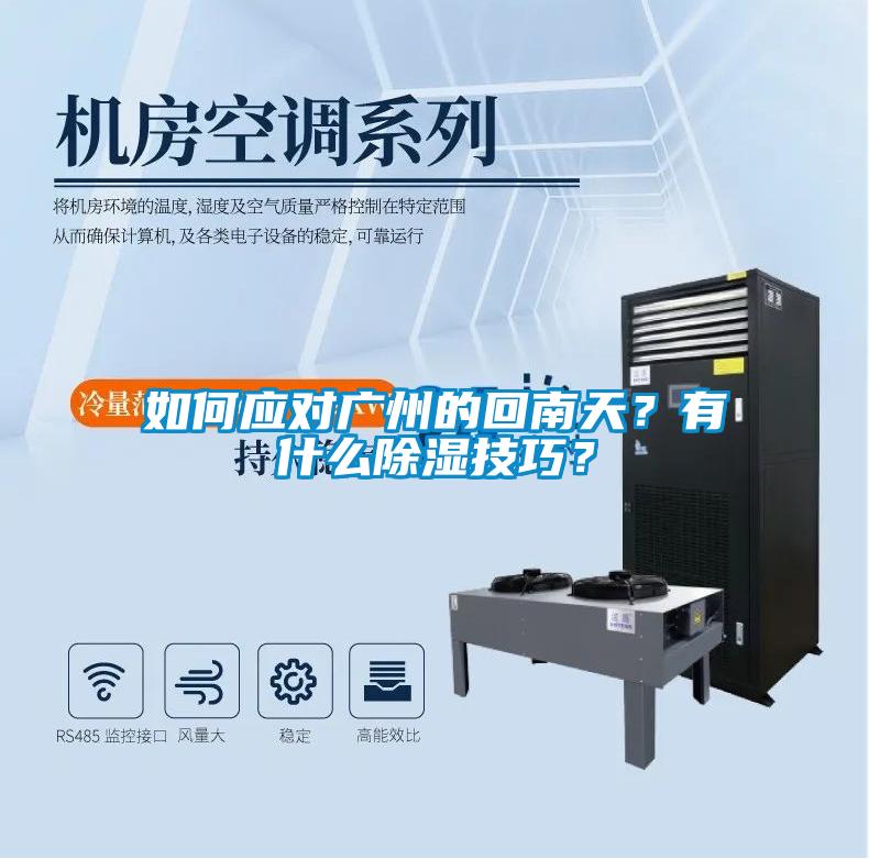 如何應(yīng)對廣州的回南天？有什么除濕技巧？
