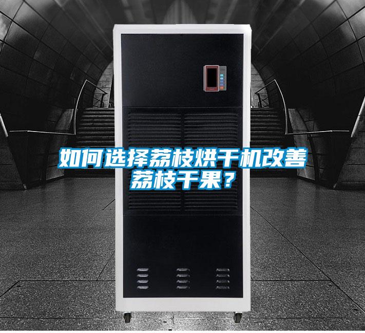 如何選擇荔枝烘干機改善荔枝干果？