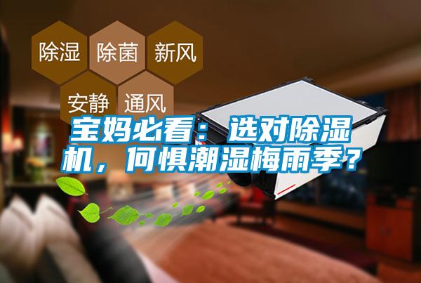 寶媽必看：選對除濕機，何懼潮濕梅雨季？