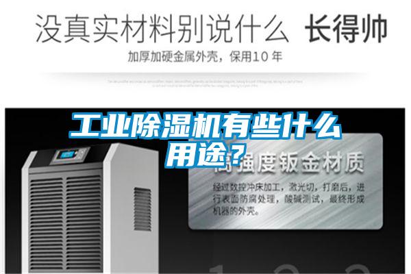 工業(yè)除濕機(jī)有些什么用途？