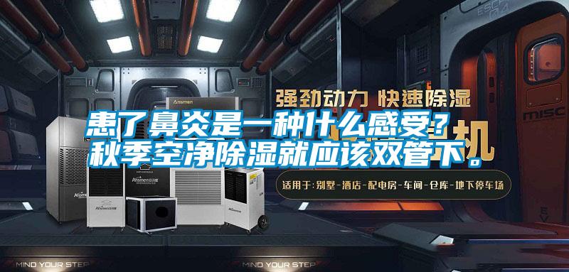 患了鼻炎是一種什么感受？ 秋季空凈除濕就應(yīng)該雙管下。