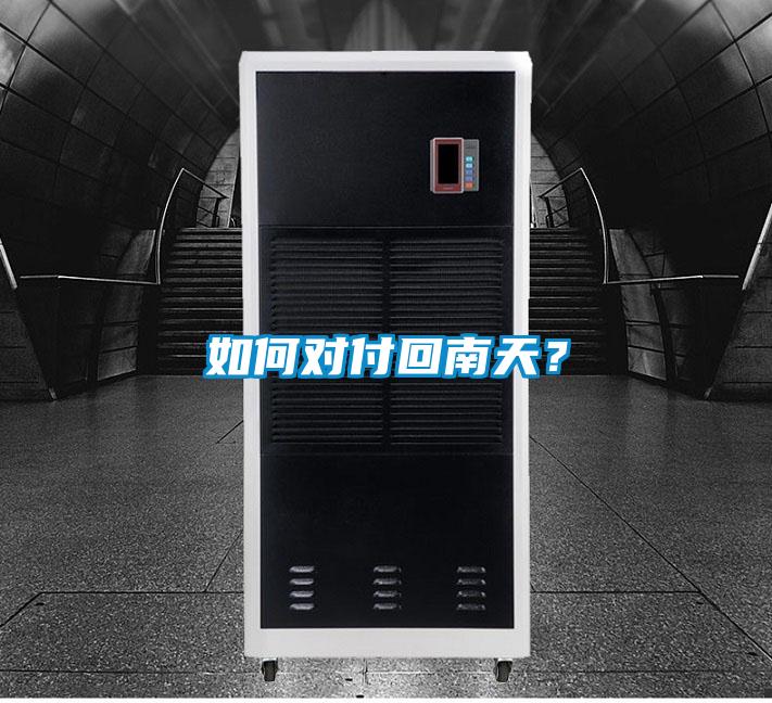 如何對付回南天？