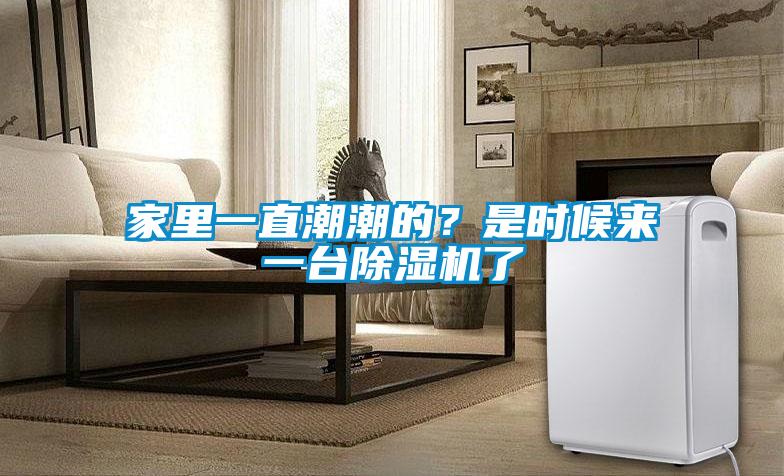 家里一直潮潮的？是時(shí)候來一臺(tái)除濕機(jī)了