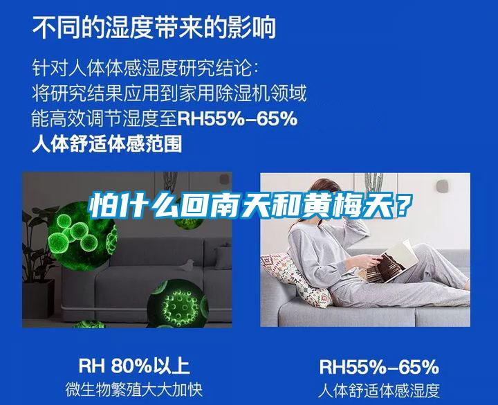 怕什么回南天和黃梅天？