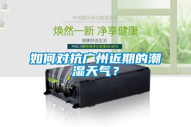 如何對(duì)抗廣州近期的潮濕天氣？