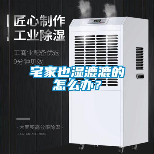 宅家也濕漉漉的怎么辦？