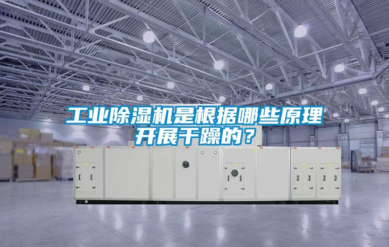 工業(yè)除濕機(jī)是根據(jù)哪些原理開展干躁的？