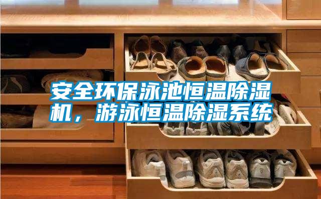 安全環(huán)保泳池恒溫除濕機(jī)，游泳恒溫除濕系統(tǒng)