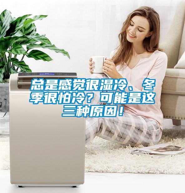 總是感覺很濕冷、冬季很怕冷？可能是這三種原因！