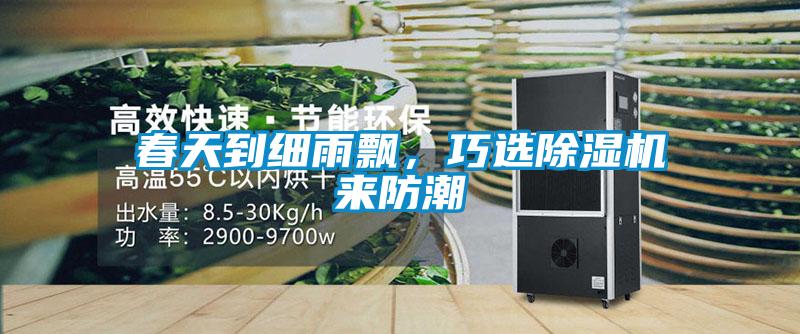 春天到細(xì)雨飄，巧選除濕機(jī)來(lái)防潮
