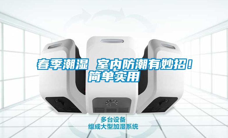 春季潮濕 室內(nèi)防潮有妙招！簡單實用
