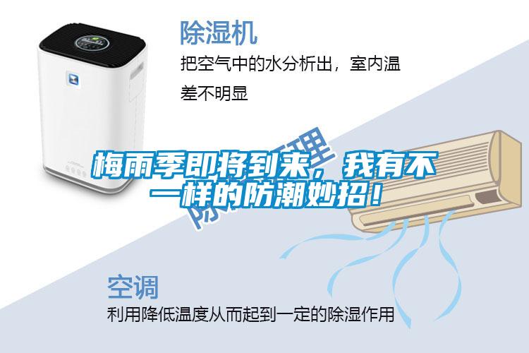 梅雨季即將到來，我有不一樣的防潮妙招！