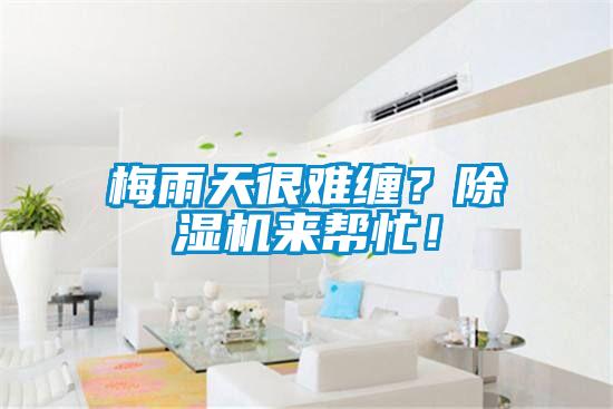 梅雨天很難纏？除濕機(jī)來幫忙！