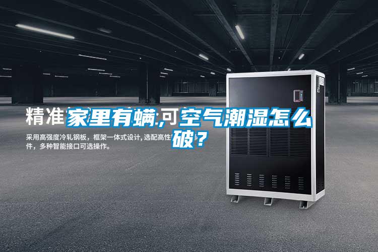 家里有螨，空氣潮濕怎么破？