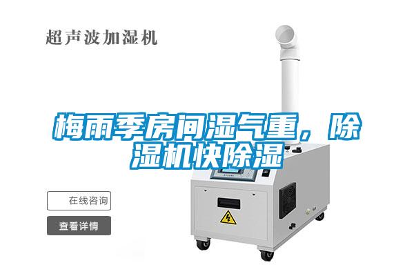 梅雨季房間濕氣重，除濕機快除濕