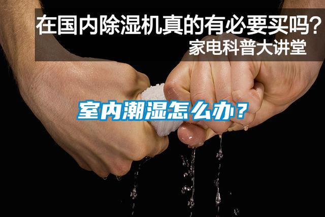 室內潮濕怎么辦？