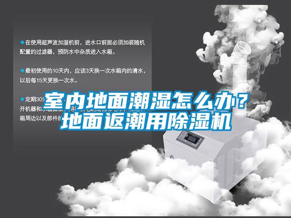 室內(nèi)地面潮濕怎么辦？地面返潮用除濕機