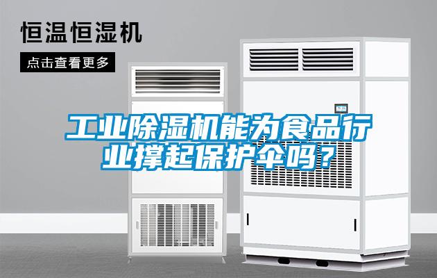 工業(yè)除濕機(jī)能為食品行業(yè)撐起保護(hù)傘嗎？