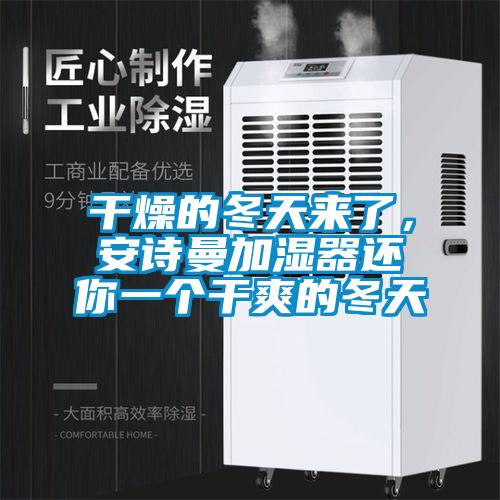 干燥的冬天來了，安詩曼加濕器還你一個干爽的冬天