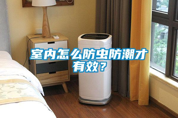 室內(nèi)怎么防蟲防潮才有效？