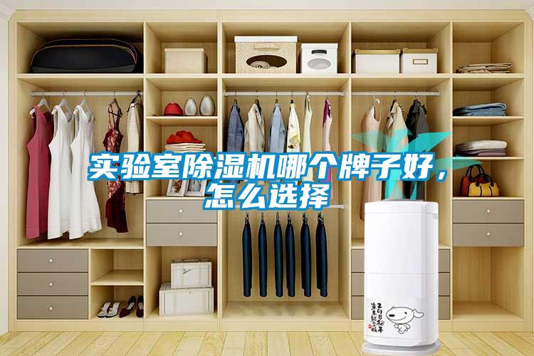 實(shí)驗(yàn)室除濕機(jī)哪個(gè)牌子好，怎么選擇