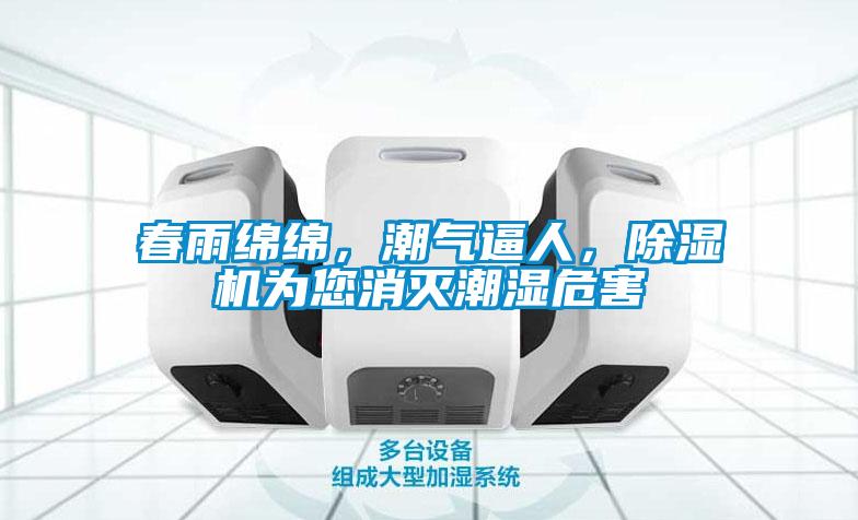 春雨綿綿，潮氣逼人，除濕機為您消滅潮濕危害