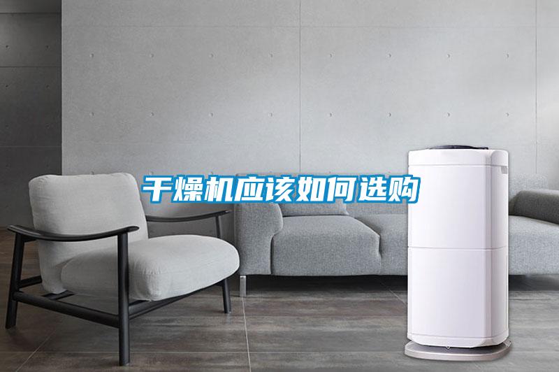 年年除濕年年濕，如何快速除濕？