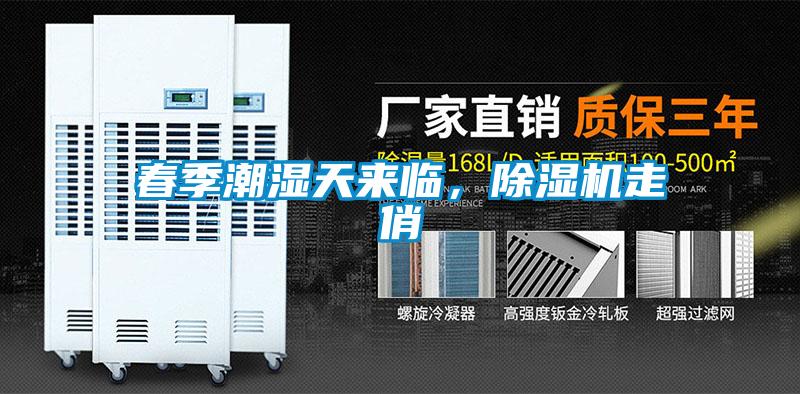 春季潮濕天來(lái)臨，除濕機(jī)走俏