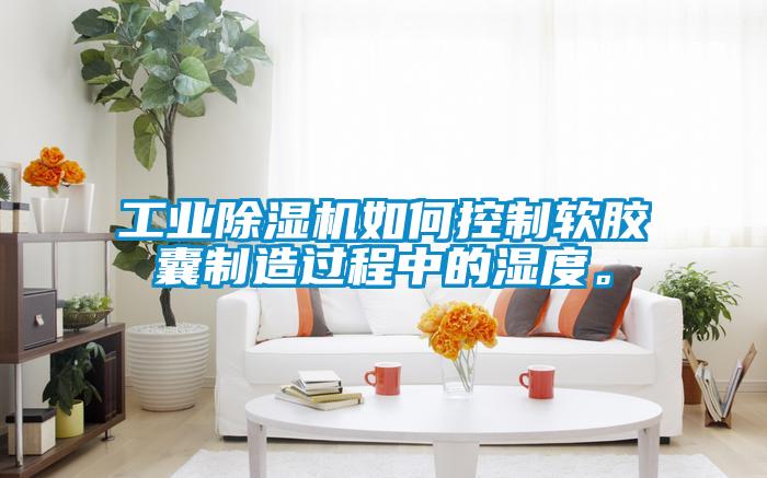 工業(yè)除濕機(jī)如何控制軟膠囊制造過(guò)程中的濕度。
