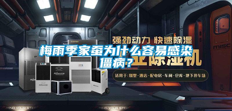 梅雨季家蠶為什么容易感染僵??？