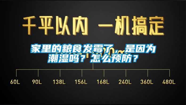 家里的糧食發(fā)霉了，是因?yàn)槌睗駟?？怎么預(yù)防？