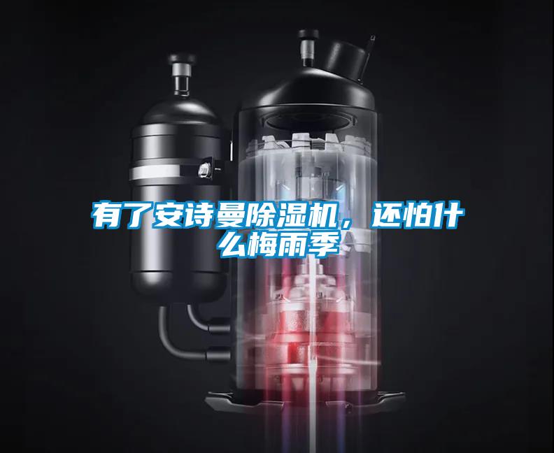 有了安詩(shī)曼除濕機(jī)，還怕什么梅雨季
