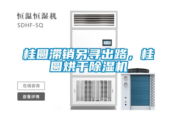 桂圓滯銷另尋出路，桂圓烘干除濕機