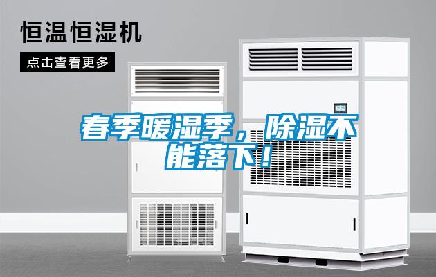 春季暖濕季，除濕不能落下！
