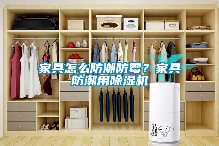 家具怎么防潮防霉？家具防潮用除濕機
