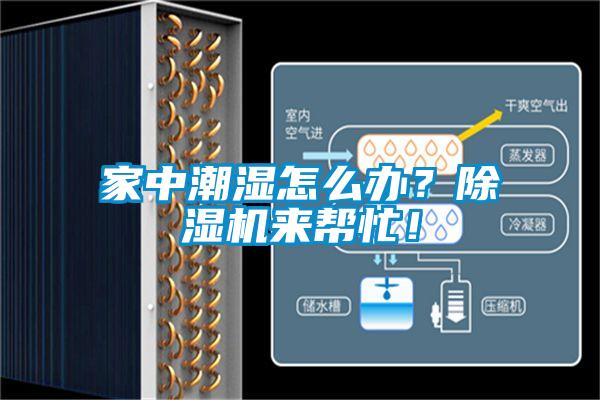 家中潮濕怎么辦？除濕機來幫忙！