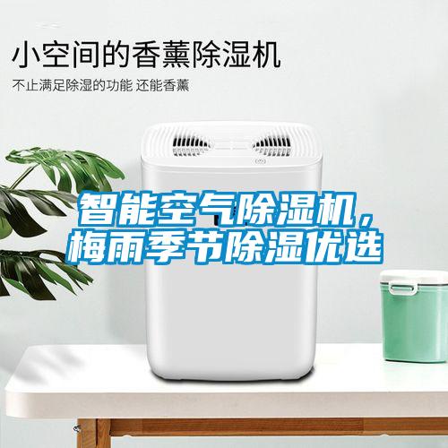 巴西菇、姬松茸烘干機-怎樣烘干色澤好且菇體褶片完整？