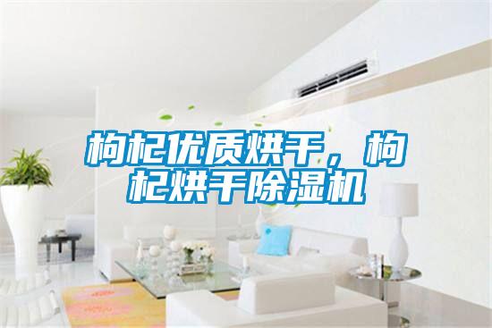 枸杞優(yōu)質(zhì)烘干，枸杞烘干除濕機(jī)
