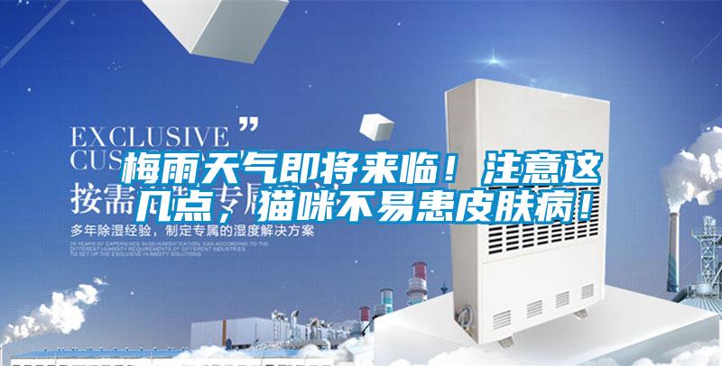 梅雨天氣即將來(lái)臨！注意這幾點(diǎn)，貓咪不易患皮膚??！