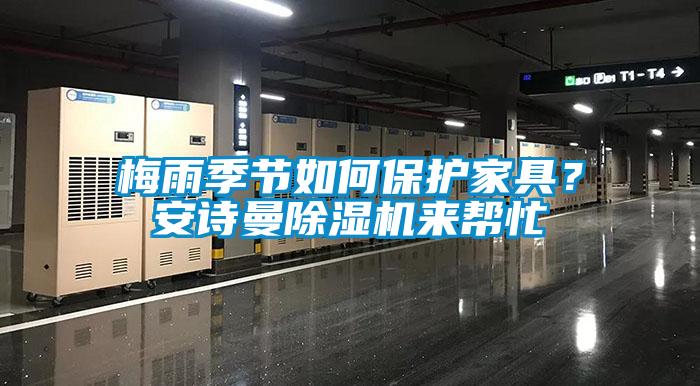梅雨季節(jié)如何保護(hù)家具？安詩曼除濕機(jī)來幫忙