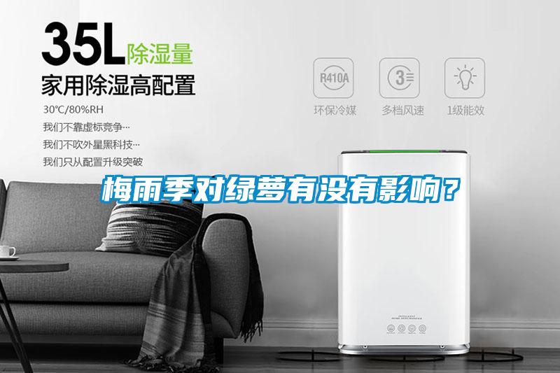 梅雨季對綠蘿有沒有影響？