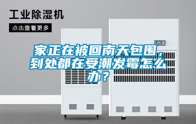 家正在被回南天包圍，到處都在受潮發(fā)霉怎么辦？