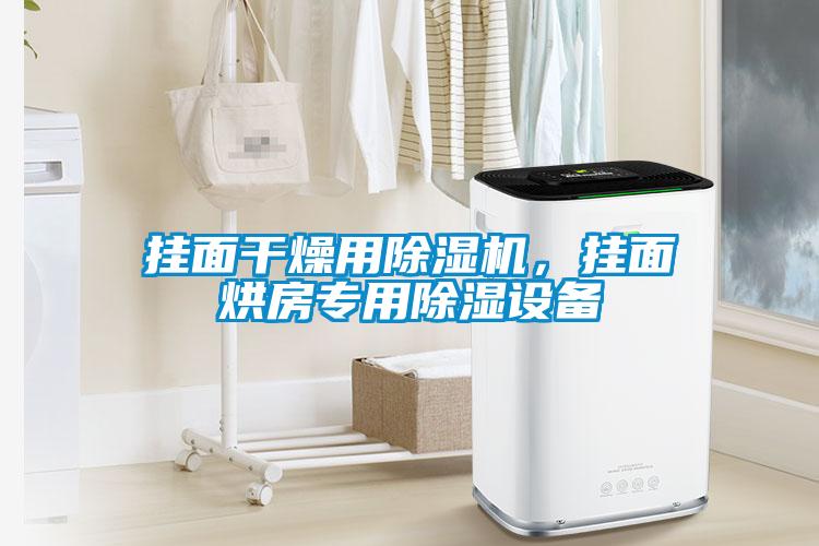 掛面干燥用除濕機(jī)，掛面烘房專用除濕設(shè)備