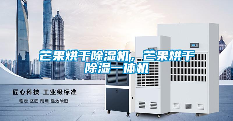芒果烘干除濕機，芒果烘干除濕一體機