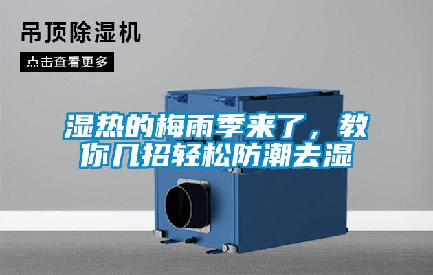 濕熱的梅雨季來了，教你幾招輕松防潮去濕