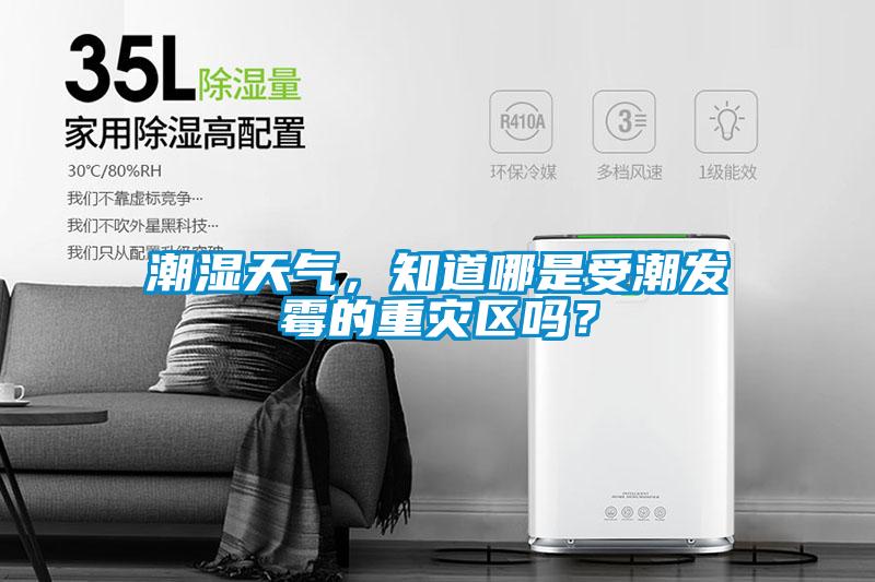 潮濕天氣，知道哪是受潮發(fā)霉的重災(zāi)區(qū)嗎？