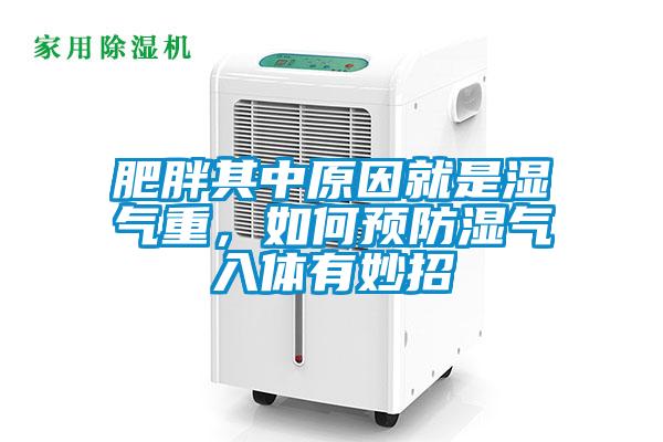 肥胖其中原因就是濕氣重，如何預(yù)防濕氣入體有妙招