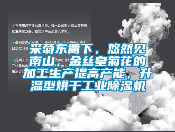 采菊東籬下，悠然見南山，金絲皇菊花的加工生產(chǎn)提高產(chǎn)能，升溫型烘干工業(yè)除濕機(jī)